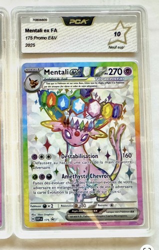 Pokémon mental tcg promo - pokémon, ex